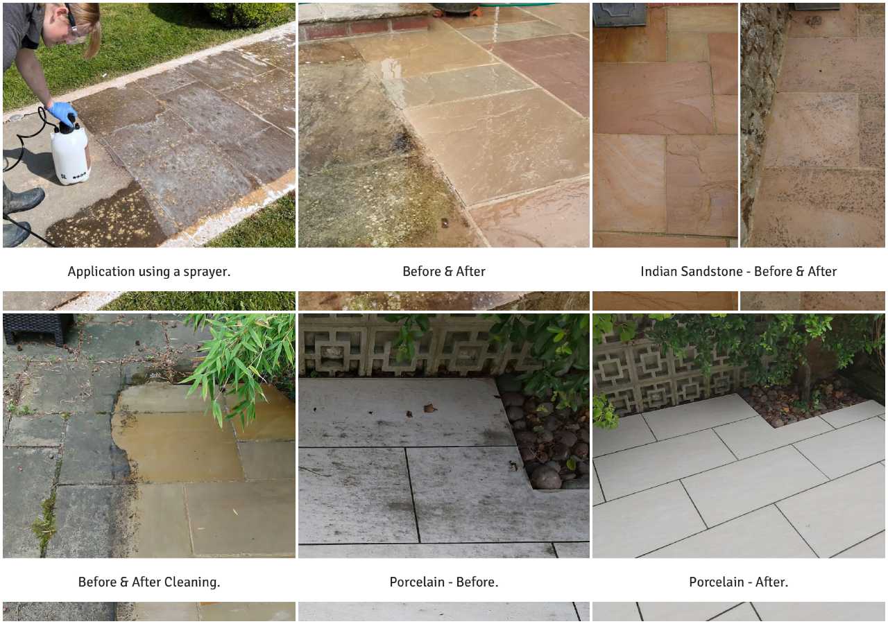 ECOPROTEC Black Spot Algae Remover Usage Examples